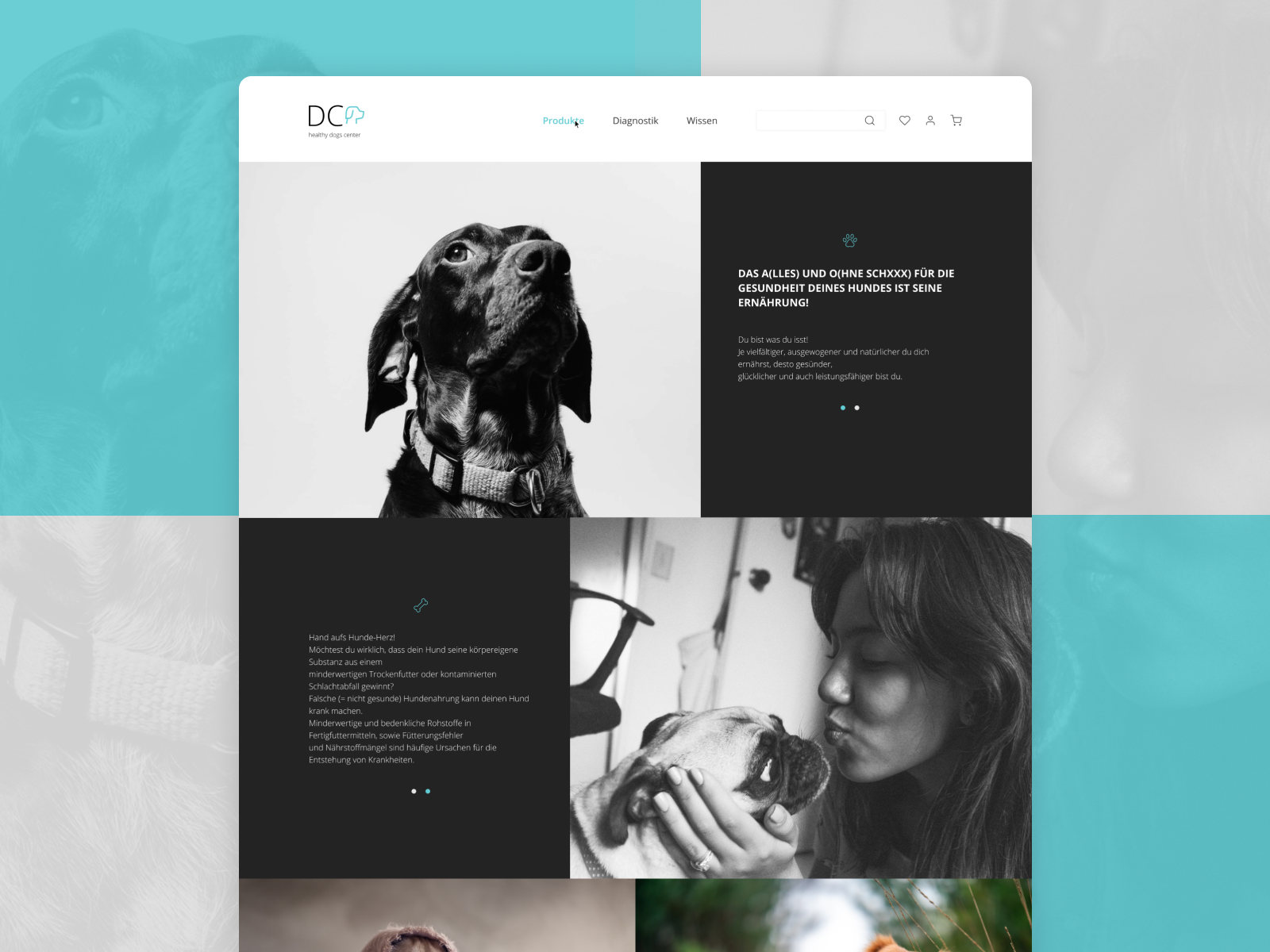 Website Redesign for a Dog Health Center