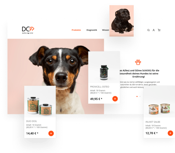 Dog Health Center