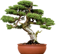 Cta-block-image