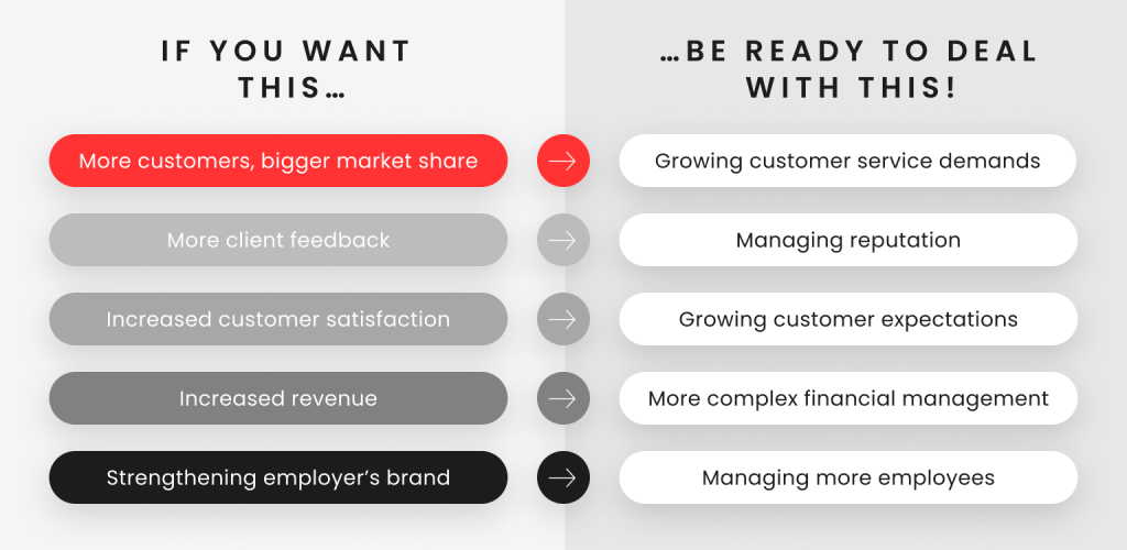 Scaling vs Growing in Startups 3 (1)