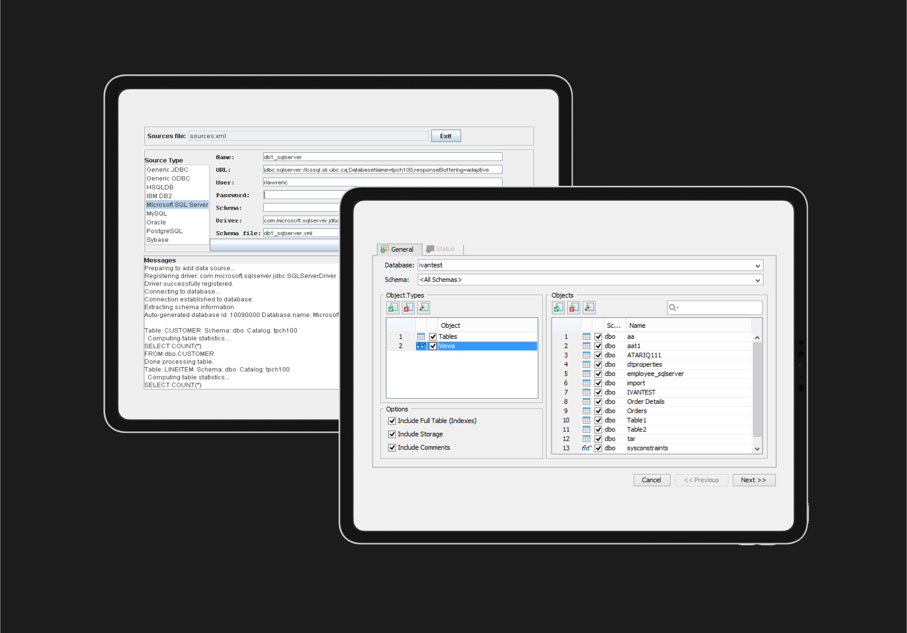 Manual and Automated Testing for a Database Management Solution